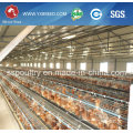 Egg Layer Battery Cages